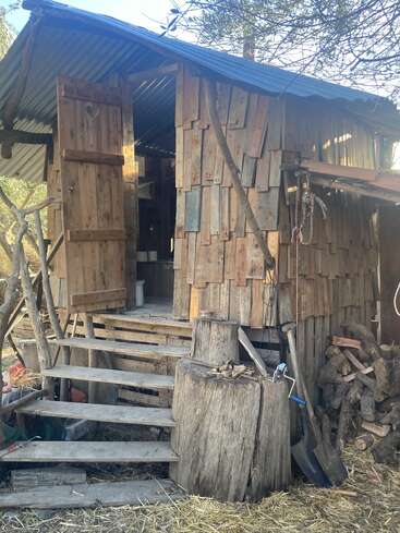 A rustic wooden cabin with mismatched planks, open door, rough steps, tin roof, tree stump, stacked firewood, and tools leaning outside, surrounded by nature.