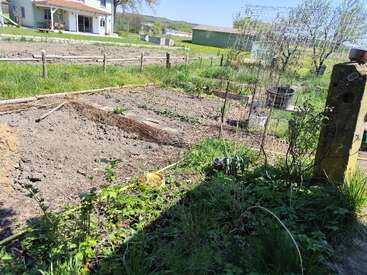 A small garden with tilled soil, sparse plants, surrounded by grass. In the background, a white house and green shed. Wooden fences, sunny weather, clear sky.