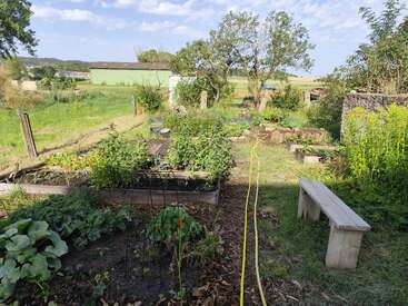 This image shows a small, lush community garden with raised beds, various plants, a wooden bench, trees, and a yellow hose extending along a path.