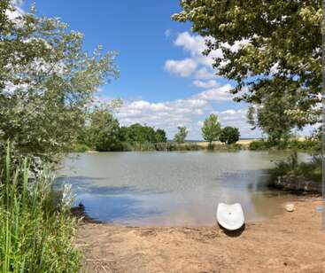 A peaceful pond surrounded by green trees under a bright blue sky with fluffy clouds, sandy shore, and a white object resting on the ground.