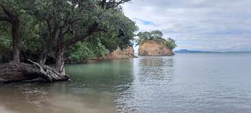 Tranquila escena costera con aguas cristalinas, árboles sobresalientes, acantilados rocosos y pequeñas islas. Suaves nubes en el cielo crean una atmósfera serena, pacífica y natural.