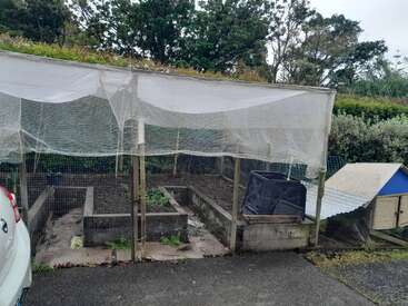 This image shows a covered, fenced vegetable garden with raised beds. There’s a small blue-roofed structure, greenery in the background, and part of a parked car.