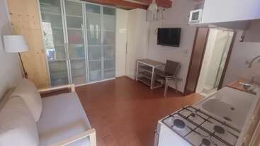 This cozy studio apartment features a small sofa, kitchenette, TV, dining table with chairs, sliding door wardrobe, and a bathroom. The space is bright and minimalist.