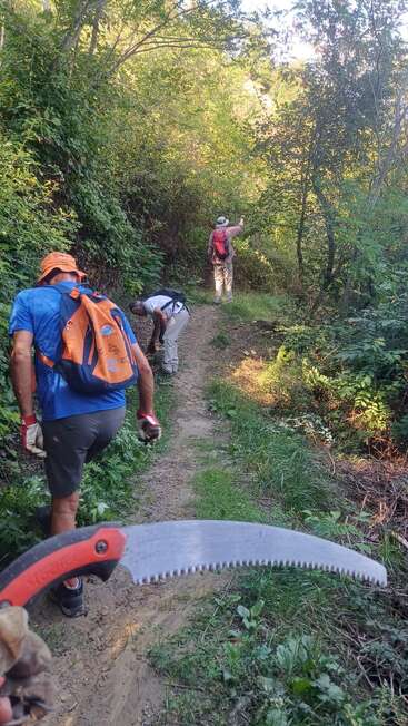 Three people with backpacks and gloves clear overgrown vegetation from a forest trail. The photo foreground features a gloved hand holding a curved pruning saw.
