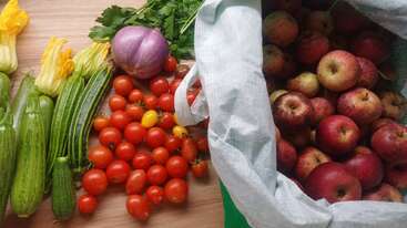 A colorful assortment of fresh vegetables and fruits: zucchinis with blossoms, cherry tomatoes, an onion, parsley, and a bag filled with apples on a table.