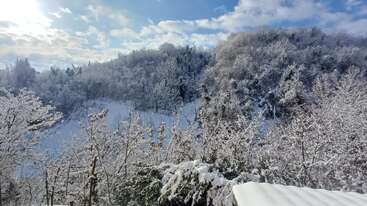 Esta imagen muestra un tranquilo paisaje invernal, con árboles y colinas cubiertos de nieve bajo un cielo brillante y parcialmente nublado, creando una escena serena y hermosa.