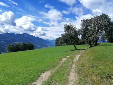 La imagen muestra un paisaje sereno con un camino de tierra que atraviesa un frondoso campo verde, rodeado de árboles y majestuosas montañas bajo un cielo azul con nubes blancas.