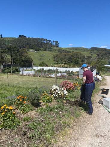 Eine Person in blauer Hose und blauer Mütze gräbt in der Nähe von bunten Blumen an einem Zaun, mit Hügeln, Bäumen und einem klaren blauen Himmel im Hintergrund.