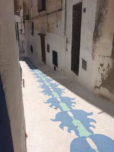 L'image représente une étroite ruelle peinte en blanc avec un motif bleu et vert au sol, flanquée de vieux bâtiments aux façades usées.