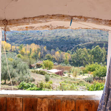 The image depicts a serene scene of a house with a large window, showcasing a lush green lawn and a tree, set against a backdrop of a clear blue sky.