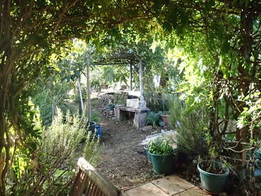 La lumière du soleil filtre à travers la végétation luxuriante, projetant des taches de lumière sur un chemin de jardin bordé de plantes en pot, d'herbes aromatiques, d'un banc et d'une table rustique en pierre. Atmosphère paisible.