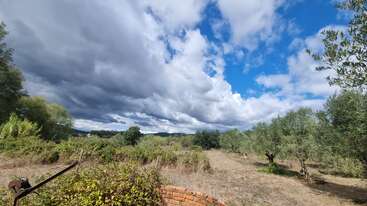 Un magnifique paysage rural avec des arbres et des buissons verdoyants sous un ciel spectaculaire, mêlant des nuages d'orage sombres et des taches bleu vif, évoquant la paix et les changements climatiques.