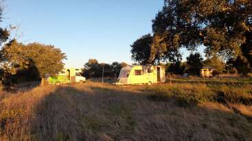 Two caravans are parked in a grassy, sunlit field surrounded by trees. The scene feels peaceful, with long shadows and bright sunlight during golden hour.