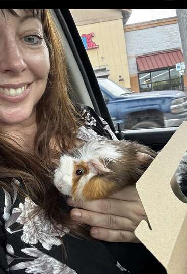 A woman smiles happily inside a car, holding an adorable, fluffy guinea pig close to her chest. A pet store can be seen in the background.