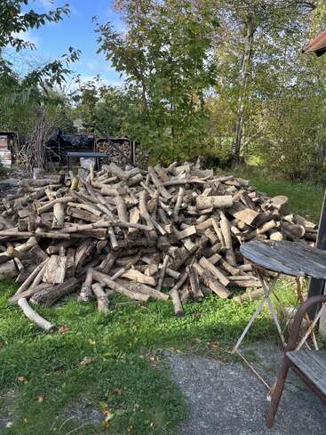 Ein großer Haufen gehacktes Feuerholz liegt auf grünem Gras, umgeben von Bäumen. Auf einer Steinterrasse in der Nähe stehen ein rustikaler Holztisch und ein Stuhl.