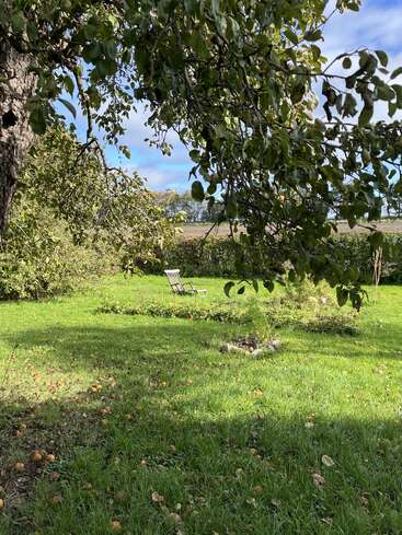 In einem friedlichen Garten steht ein einzelner Holzstuhl, umgeben von grünem Gras, belaubten Bäumen, verstreutem Fallobst und reichlich Sonnenlicht unter einem teilweise bewölkten Himmel.