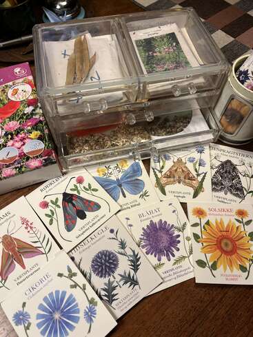The image shows various illustrated flower seed packets, a transparent drawer organizer containing more seed packets, and gardening materials, all on a wooden table with a plaid cloth.