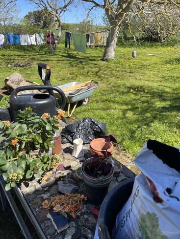 A sunny garden scene with potted plants, gardening tools, a watering can, wheelbarrow, and clothes hanging on a line. Trees and grass fill the background.