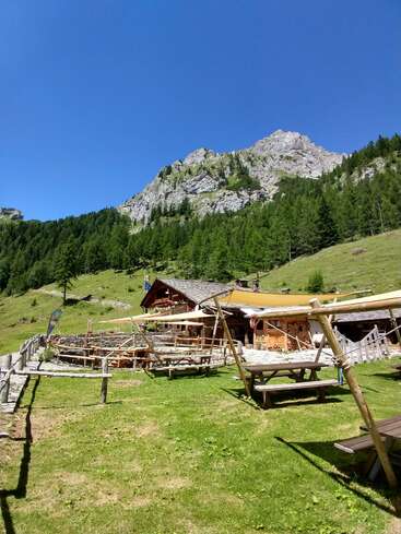 Ein rustikales Bergchalet steht auf einem grasbewachsenen Hang, umgeben von Picknicktischen, Holzzäunen, grünen Kiefern und imposanten Felswänden unter einem strahlend blauen Himmel.