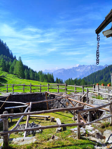 Ein rustikaler Holzzaun umgibt eine Rasenfläche, auf der hellgrüne Bäume auf sanften Hügeln stehen, während im Hintergrund Berge unter einem strahlend blauen, leicht bewölkten Himmel zu sehen sind.
