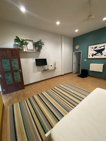 Ein gemütliches, modernes Schlafzimmer mit Holzboden, einem gestreiften Teppich, einer türkisfarbenen Akzentwand, minimalistischer Einrichtung, Pflanzen auf einem Regal, einem kleinen Fernseher, Wandbildern und einem Deckenventilator.