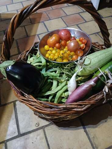 Un panier tissé posé sur un sol carrelé contient des produits frais du jardin : aubergines, haricots, courgettes, oignons et un bol rempli de tomates jaunes et rouges assorties.