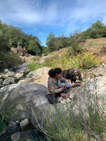 Une femme est assise sur un gros rocher près d'un ruisseau, préparant de la nourriture dans des récipients. Un chien à fourrure se tient à proximité. Des arbres verts et un ciel bleu complètent cette scène paisible.