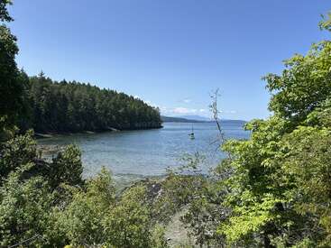 Eine ruhige, malerische Bucht, gesäumt von üppigen grünen Bäumen unter einem strahlend blauen Himmel. Ein einsames Segelboot schwimmt friedlich auf dem glitzernden, klaren Wasser.