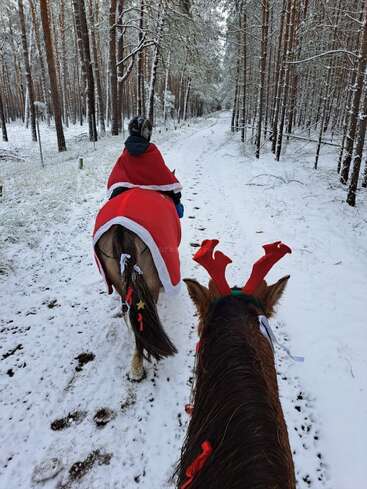 Deux chevaux et un cavalier traversent un sentier forestier enneigé. Les chevaux sont habillés de façon festive, l'un avec des bois rouges, l'autre avec un costume de Père Noël.