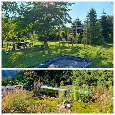 Un jardin verdoyant avec des sièges extérieurs, des arbres et une pergola. À proximité, un étang avec des rochers, des plantes et un toboggan bleu se fond dans la nature.