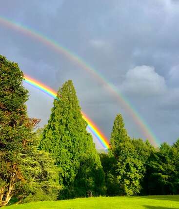 A vibrant double rainbow arcs across a cloudy sky above lush green trees and grass, creating a beautiful and serene natural scene filled with color and light.