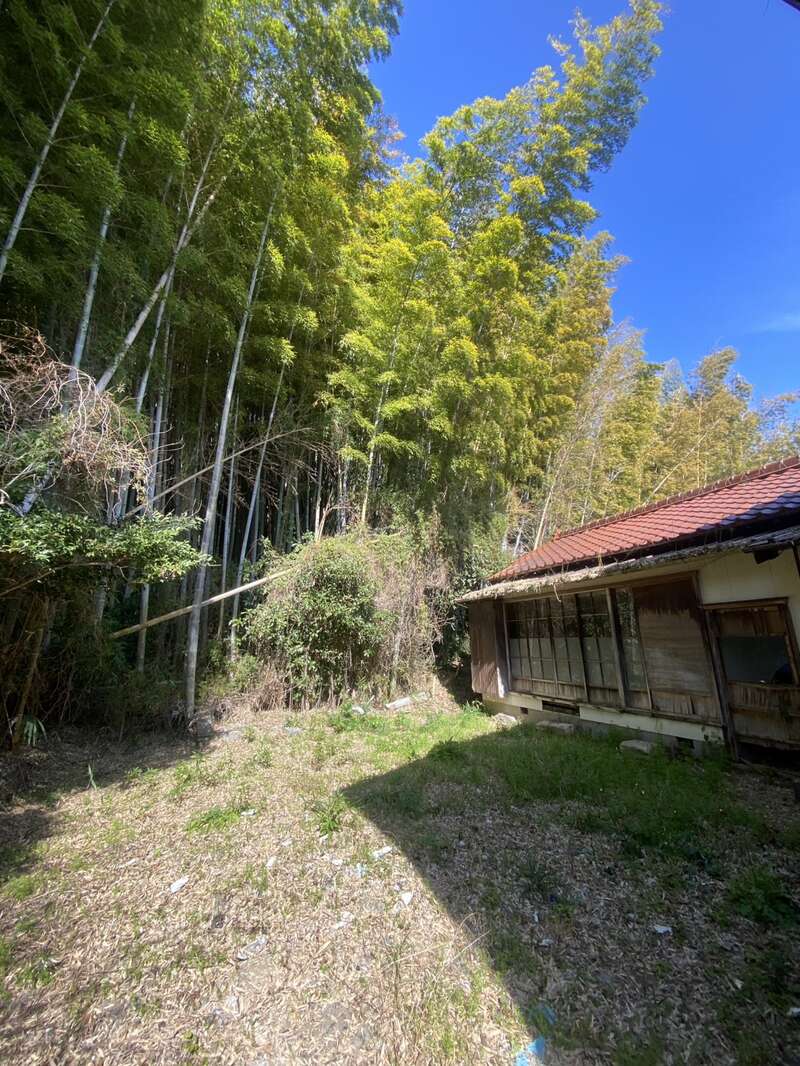 Tall bamboo trees border an old, weathered house with broken windows. Sunlight filters through the greenery, highlighting overgrown grass and scattered debris in the yard.
