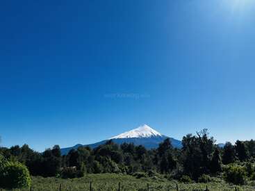 Un impresionante volcán nevado se eleva sobre densos bosques verdes bajo un cielo azul claro y vibrante. La brillante luz del sol ilumina el paisaje, creando una atmósfera tranquila y serena.