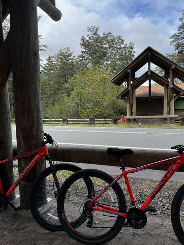 Dos bicicletas de montaña rojas están aparcadas bajo un refugio de madera junto a la carretera. Al otro lado de la calle, hay un rústico edificio de madera rodeado de frondosos árboles verdes.