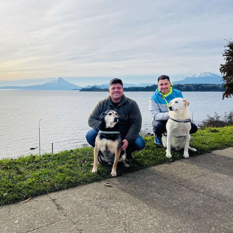 Dos hombres sonríen arrodillados junto a un lago con dos perros. Las montañas nevadas y el cielo nublado crean un paisaje de fondo. La hierba y la acera enmarcan el apacible momento.