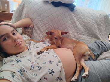 A woman lies on a couch, wearing a floral shirt. A small brown dog rests its head and paw on her pregnant belly, both appearing relaxed.