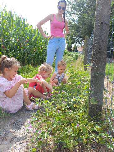 Una mujer con gafas de sol está de pie detrás de tres niños pequeños que están sentados y explorando las flores junto a una valla, cerca de un campo de altas plantas de maíz verde.
