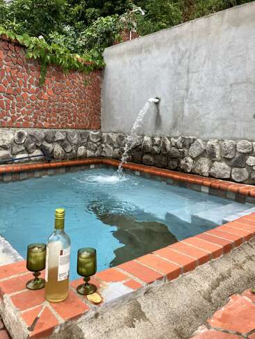 L'image représente une scène sereine de piscine d'arrière-cour, avec une bouteille de vin et deux verres sur le bord, avec un mur de pierre et une végétation luxuriante en arrière-plan.