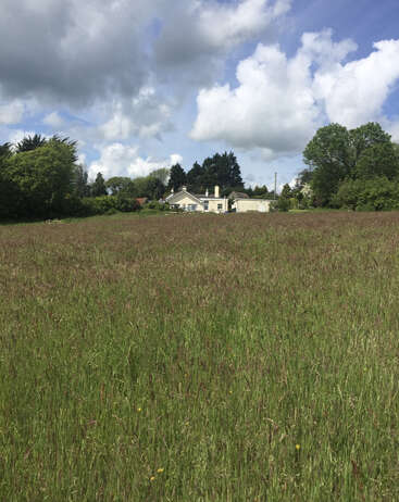 The image depicts a serene rural scene featuring a large field of tall grass, a house, and trees set against a blue sky with white clouds.