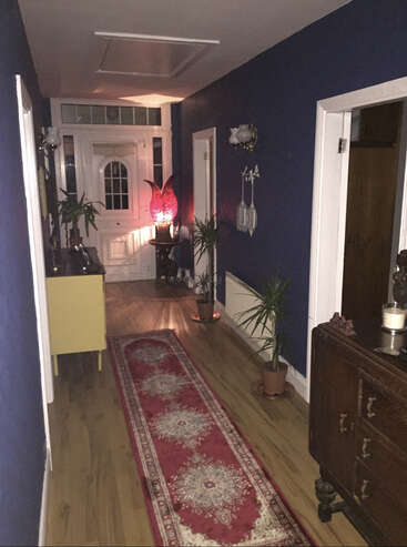 The image depicts a hallway with dark blue walls, white trim, and wood floors, featuring a red rug, potted plants, and various decorative items.