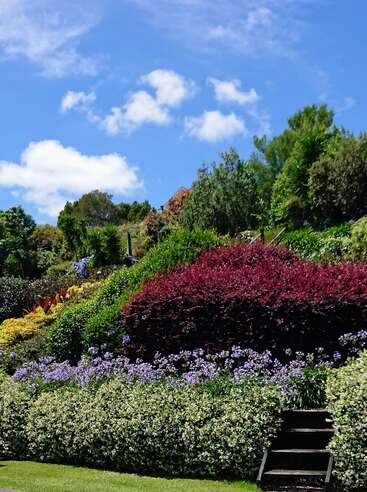 Une magnifique scène de jardin avec des arbustes et des fleurs aux couleurs vives et variées, sous un ciel d'un bleu éclatant. Des marches en bois mènent vers le haut à travers un feuillage verdoyant et des plantes en fleurs.