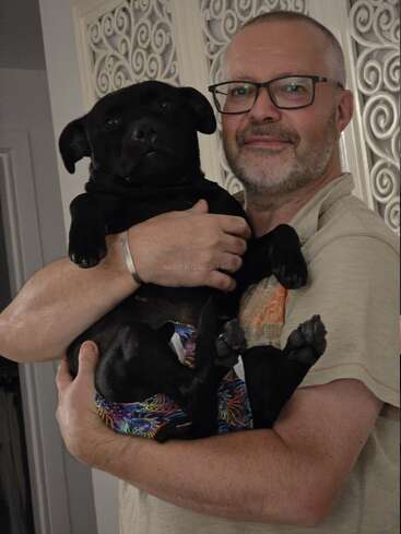 Um homem sorridente de óculos segura um cachorro preto nos braços. O cachorro está usando um short colorido. No fundo, há um painel branco decorativo e uma iluminação suave de ambiente.