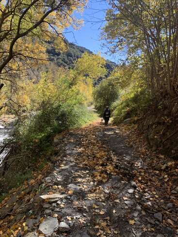 Uma pessoa caminha por uma trilha coberta de folhas, cercada por árvores com folhagem de outono, sob um céu azul claro, ao lado de um riacho que flui suavemente e de colinas distantes.