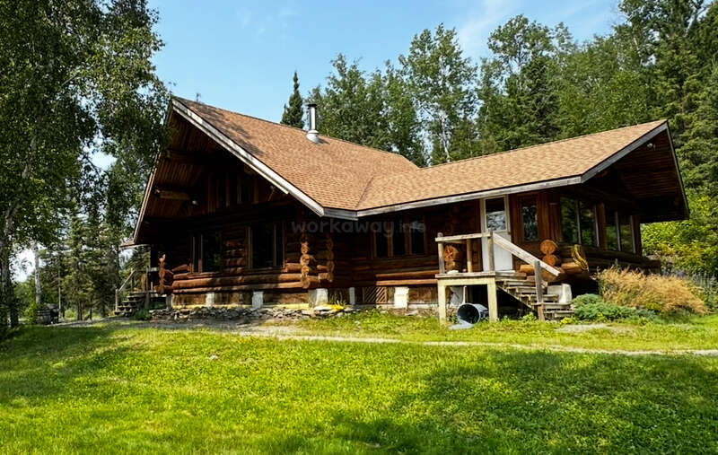 Cette image montre une cabane rustique en rondins avec un toit en pente, nichée au milieu de grands arbres, entourée d'herbe verte, dégageant une atmosphère paisible et accueillante.