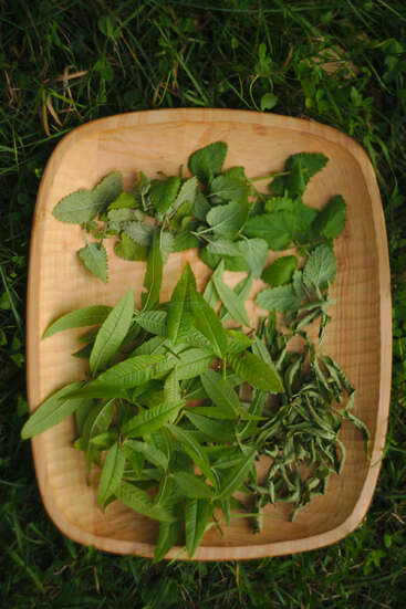 Un bol en bois contenant trois sortes d'herbes aromatiques fraîches et séchées repose sur l'herbe, offrant un jeu de textures et de nuances de vert variées, cueillies dans un jardin.