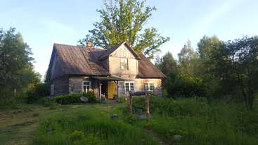 Une maison rustique en bois se dresse au milieu d'une végétation luxuriante, d'herbes hautes et d'arbres. Le soleil diffuse une lumière chaleureuse qui rehausse l'atmosphère paisible et sereine de la campagne.