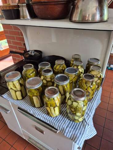 Vários potes de picles caseiros estão esfriando em um pano listrado sobre um fogão branco antigo, cercado por utensílios de cozinha, em um ambiente de cozinha aconchegante e iluminado pelo sol.