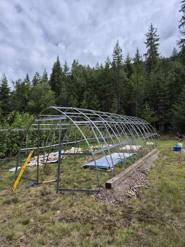 Uma estrutura de estufa parcialmente construída está em um terreno gramado perto de uma floresta. Materiais de construção e ferramentas estão espalhados, sob um céu nublado e cercados por árvores.