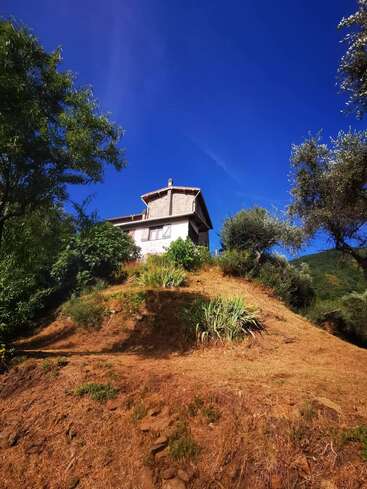 Une maison se dresse au sommet d'une colline ensoleillée, entourée d'arbres et de verdure, avec un ciel bleu profond et clair au-dessus, créant une scène rurale paisible et invitante.