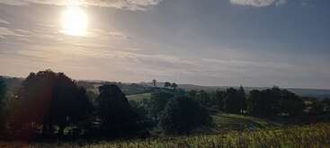 The image shows a beautiful countryside landscape at sunrise or sunset, with rolling fields, scattered trees, soft sunlight, and a partly cloudy sky creating a tranquil scene.